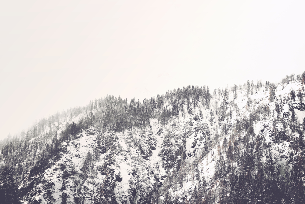 Life is a Sine Curve – so what happens when you are catapulted into Winter?