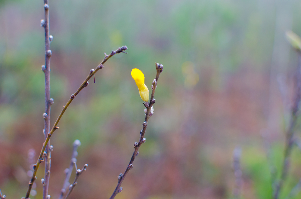 Winter to spring: how I'm returning from injury
