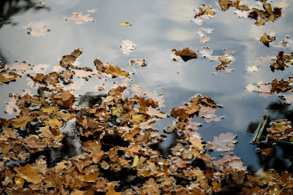 🍂 Super Fit at 50: Falling into new things this autumn 🍂