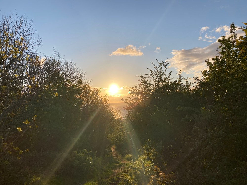 Superfit at 50: Ending a Runstreak