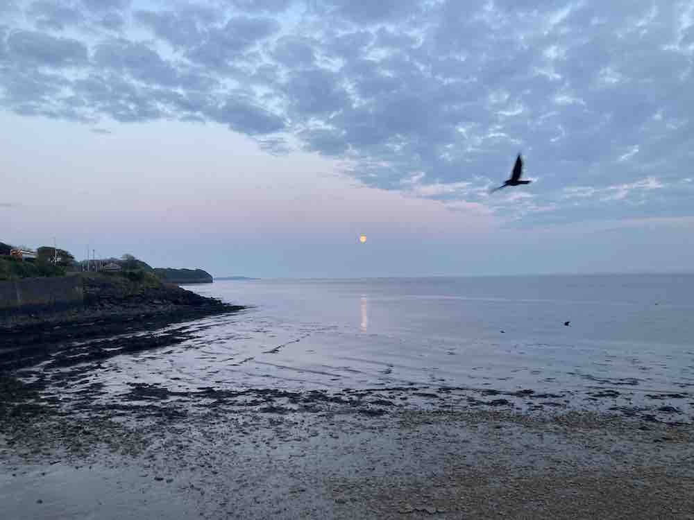 Superfit at 50: pre-op benchmark to aid recovery