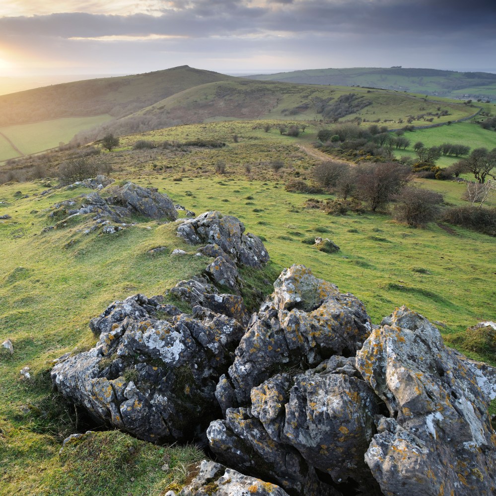 Consistency: key to ultras in your 50s?